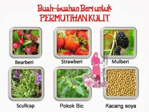 SET PENJAGAAN KULIT NUTRIWHITE